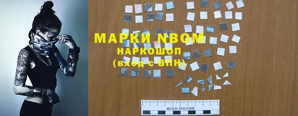 прущие грибы Гусев