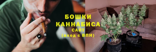бошки Гусь-Хрустальный