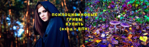 прущие грибы Гусев