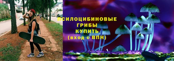 бошки Гусь-Хрустальный