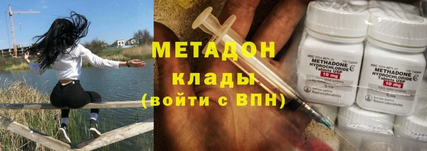 прущие грибы Гусев