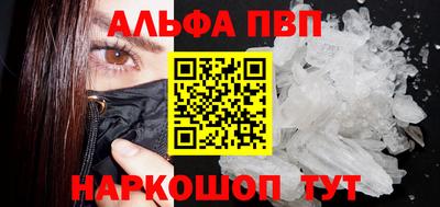 стафф Донской