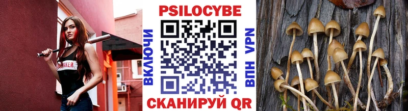 Галлюциногенные грибы мицелий  MEGA как войти  Назарово 