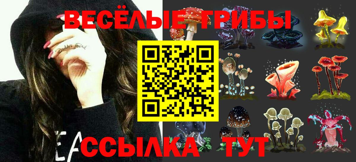 Галлюциногенные грибы прущие грибы Назарово