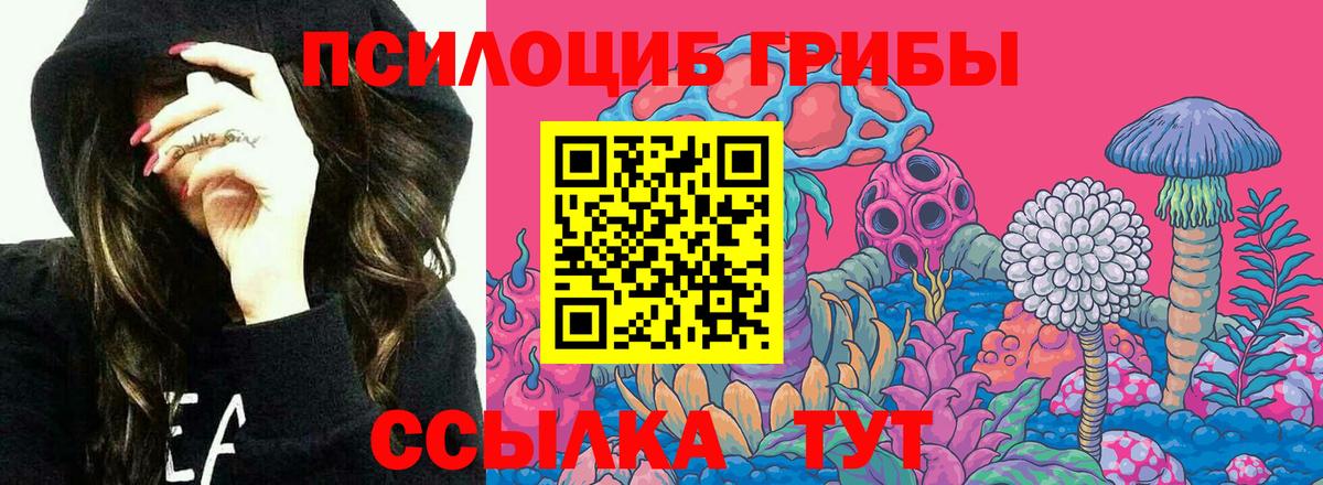 Назарово  Псилоцибиновые грибы мухоморы  Галлюциногенные грибы прущие грибы  Вход с VPN 