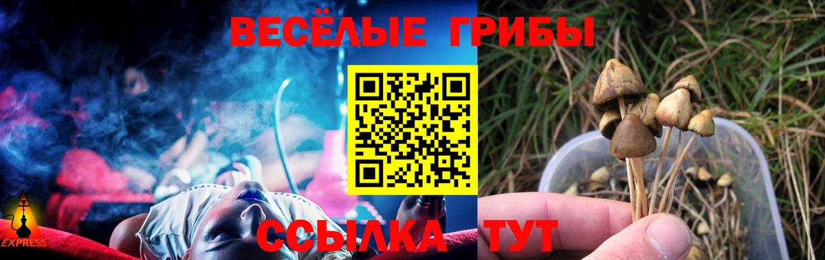 Псилоцибиновые грибы прущие грибы Назарово