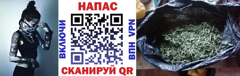 Конопля индика  наркошоп  Назарово 