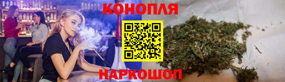 Каннабис план Назарово